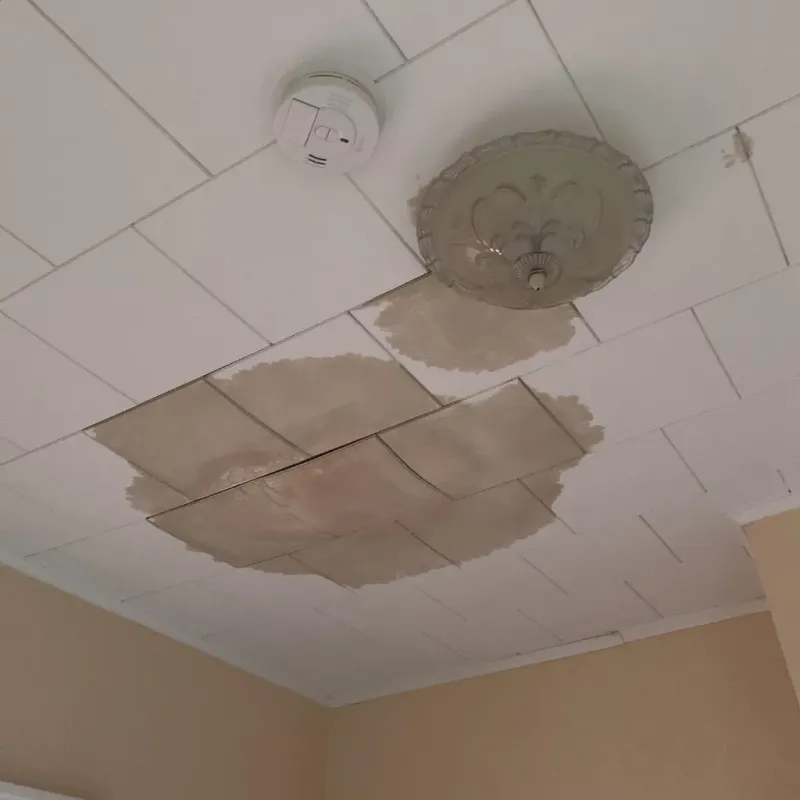 Ceiling Water Damage Repair in Guilford, PA